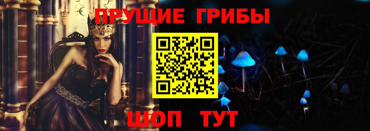 Псилоцибиновые грибы Psilocybe Анапа